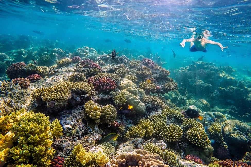 Hurghada: Full-Day Snorkeling Tour in Sharm El Naga w/Lunch - Price and value: is $75 a good deal?