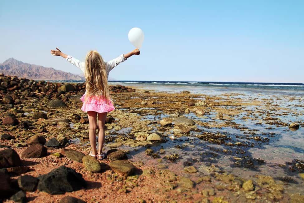 Hurghada: Full-Day Snorkeling Tour in Sharm El Naga w/Lunch - What a good day looks like
