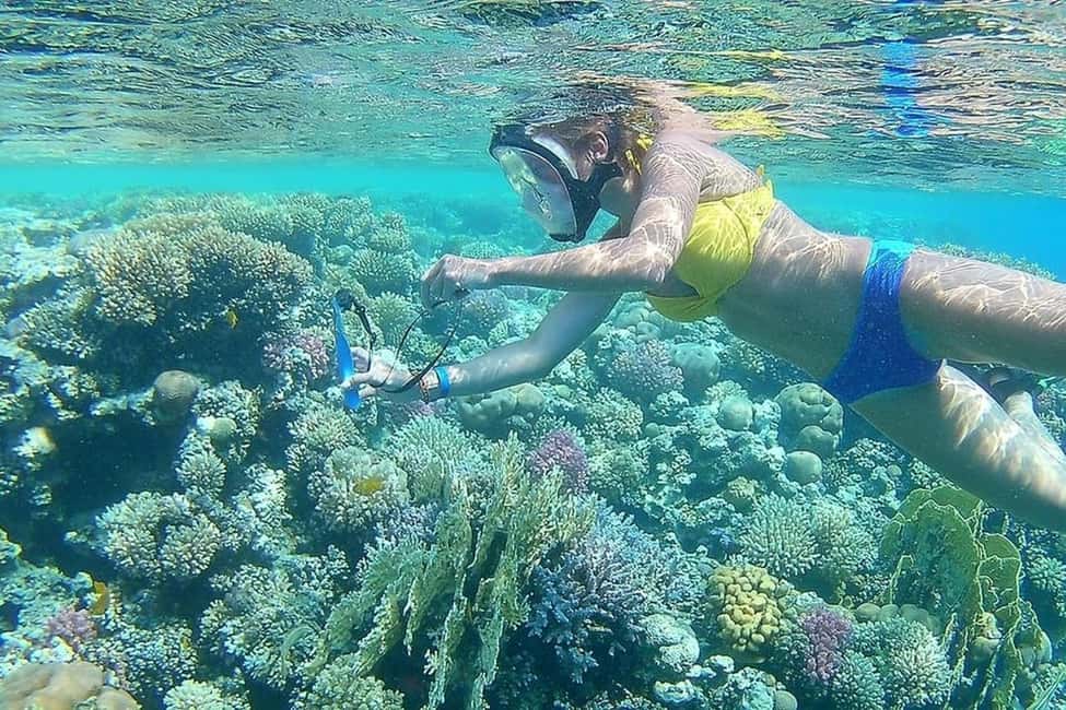 Hurghada: Full-Day Snorkeling Tour in Sharm El Naga w/Lunch - Who should book this snorkeling tour