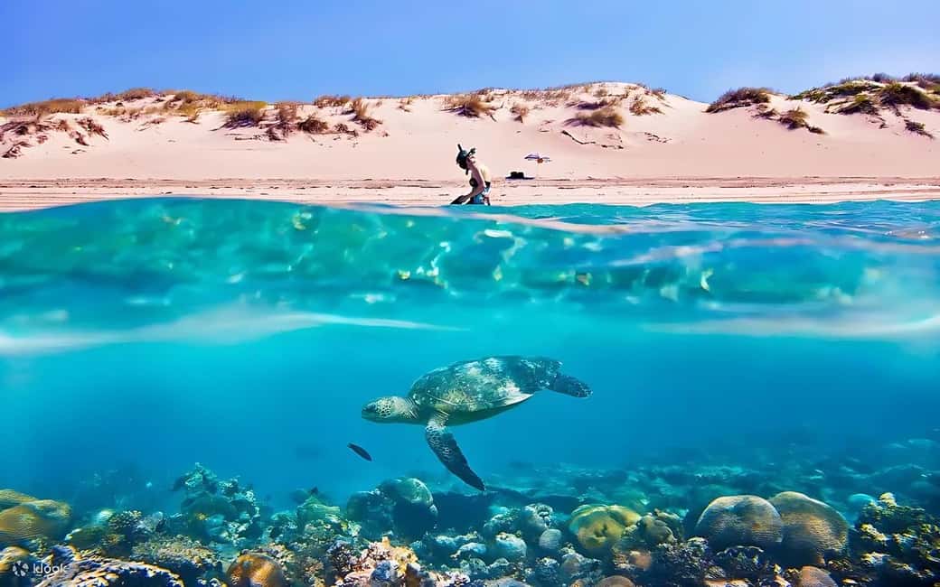 Hurghada: Giftun Island with breakfast, lunch & Water Sports - Getting there smoothly: pickup, meeting point, and boat setup