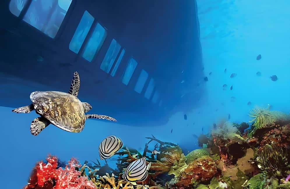 Hurghada: Glass Boat & Snorkeling with Optional Parasailing - Who should book this tour (and who might skip parasailing)