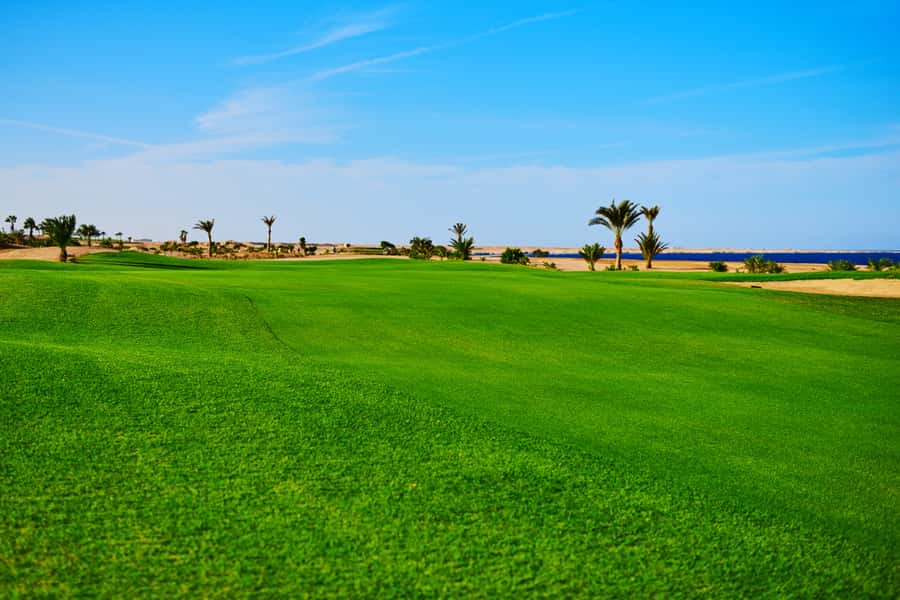 Hurghada: Golfing at the Madinat Makadi Golf Resort - The big decision: 9 holes vs 18 holes at Madinat Makadi