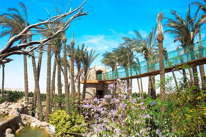 Hurghada Grand Aquarium Tour with Hotel Transfer – Hurghada - Hotel Transfer First: Getting to Hurghada Grand Aquarium Fast