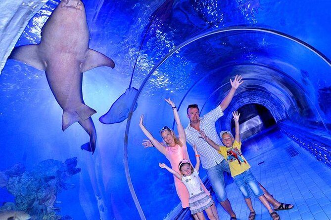 Hurghada Grand Aquarium Tour with Hotel Transfer – Hurghada - What You’ll See: Sharks, Stingrays, Turtles, and Reef Fish