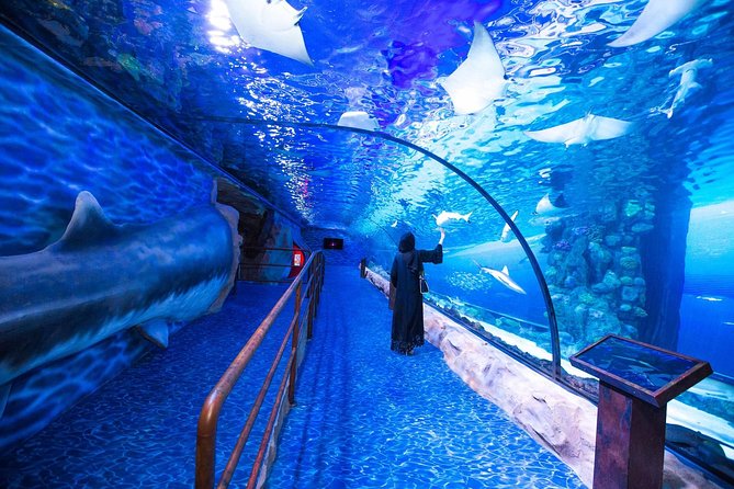 Hurghada Grand Aquarium Tour with Hotel Transfer – Hurghada - Learning Beyond the Tanks: Conservation Projects You Can Talk About