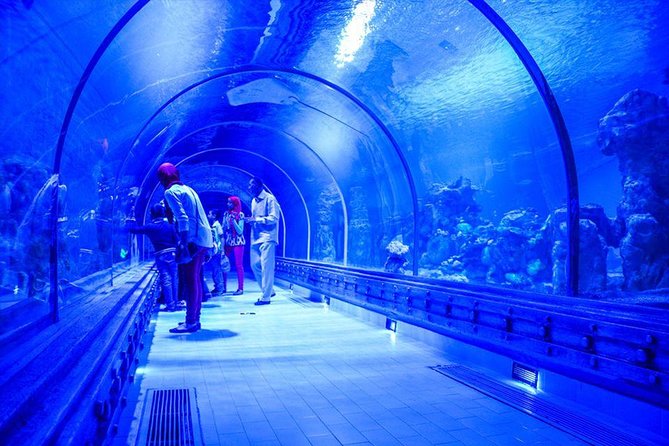 Hurghada Grand Aquarium Tour with Hotel Transfer – Hurghada - Timing and Flow: Making the Most of 2 to 3 Hours