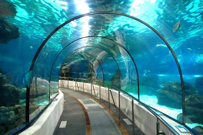 Hurghada Grand Aquarium Tour with Hotel Transfer – Hurghada - Who This Tour Fits Best (And Who Might Want Another Option)