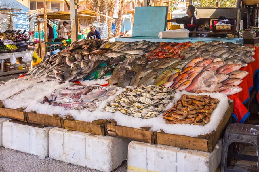 Hurghada: Guided City Highlights Tour with Shopping Stops - New Marina and a comfortable Red Sea moment at the aquarium