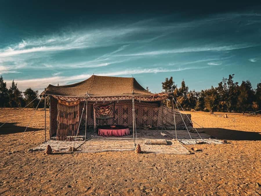 Hurghada: Hiking , dinner & stargazing - Sunset dinner at the camp: what you’re really paying for