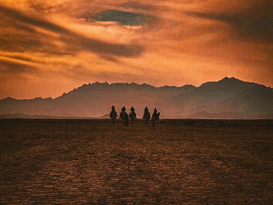 Hurghada: Hiking , dinner & stargazing - Stargazing with a telescope: planets, star groups, and real guidance