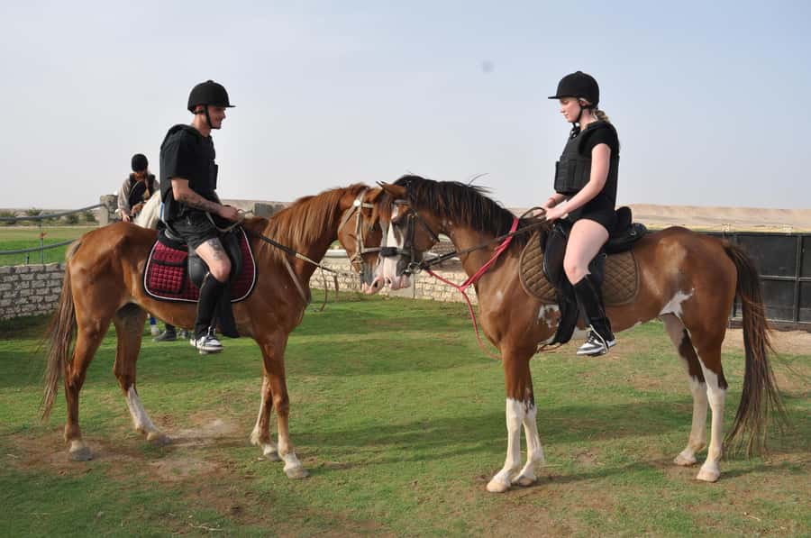 Hurghada: Horse Ride, BBQ Dinner, and Stargazing - Key Highlights You’ll Actually Care About
