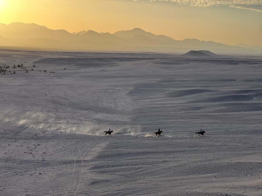 Hurghada: Horse Ride, BBQ Dinner, and Stargazing - Welcome Tea, Safety Rules, and Gear That Helps You Actually Ride