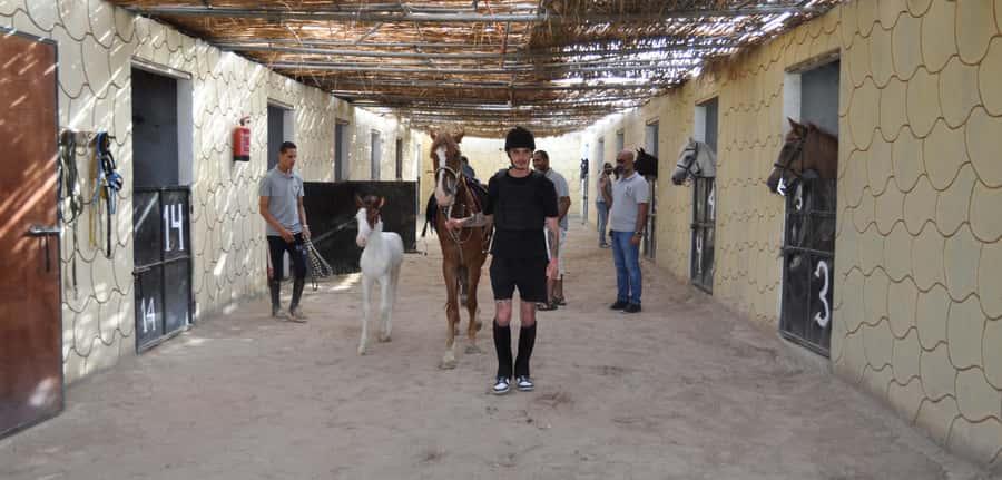 Hurghada: Horse Ride, BBQ Dinner, and Stargazing - One Hour Horse Riding Between Valleys: The Part You’ll Remember