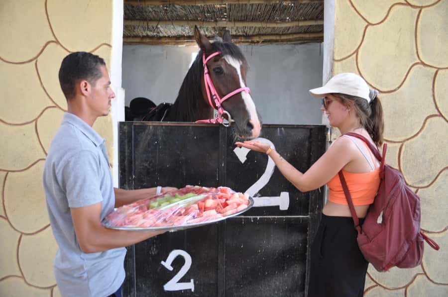 Hurghada: Horse Ride, BBQ Dinner, and Stargazing - BBQ Dinner at the Oasis: What’s Included and What It Feels Like