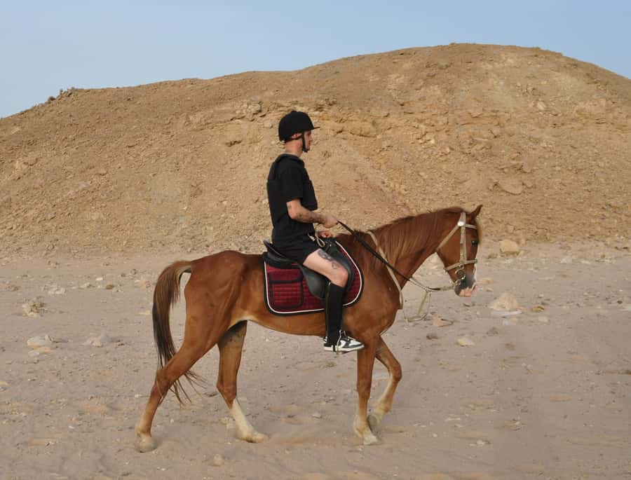 Hurghada: Horse Ride, BBQ Dinner, and Stargazing - Jeep Safari After Dark: The Ride Back to Hurghada