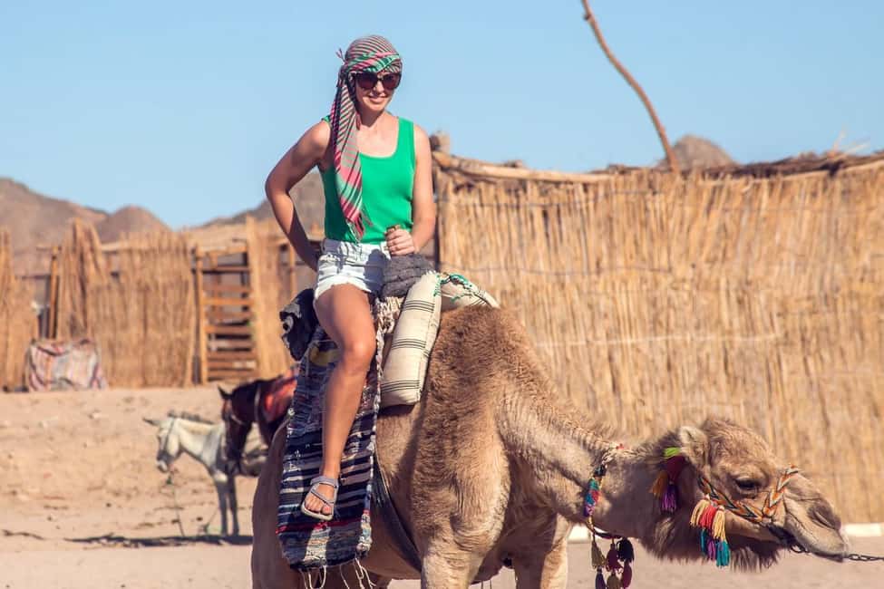 Hurghada: Jeep and ATV Quad with Dinner & Desert Fire Show - Who Should Book This Safari (and Who Should Skip It)