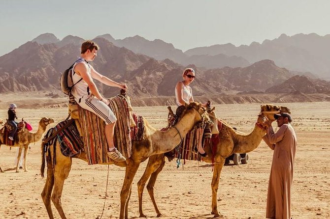 Hurghada: Jeep Safari, Camel Ride & Bedouin Village Tour - Camel Ride + Reptile House: Expect Quick Stops, Not Full-Day Animal Time