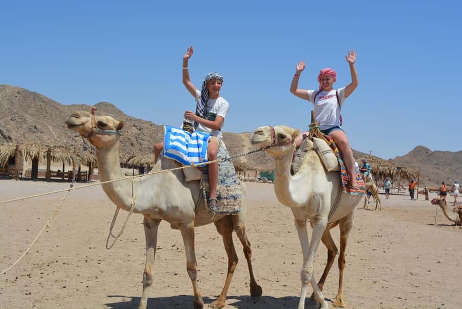 Hurghada: Jeep Safari with Camel Ride, Dinner and Show - Arabian Tea, Camel Ride, and Bedouin Bread-Making