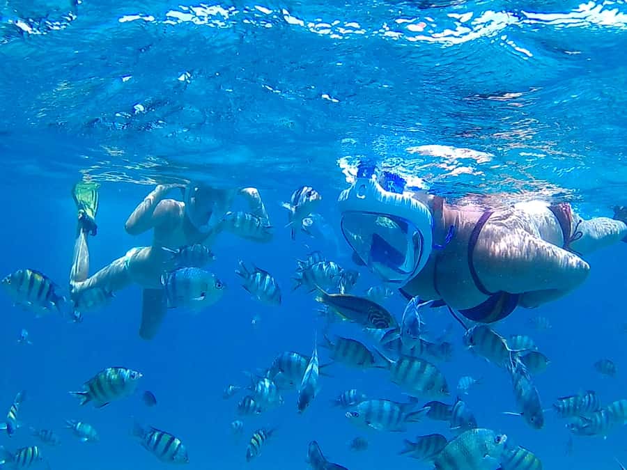 Hurghada: Luxury Giftun island w/snorkeling/lunch & Massage - Key Takeaways Before You Go