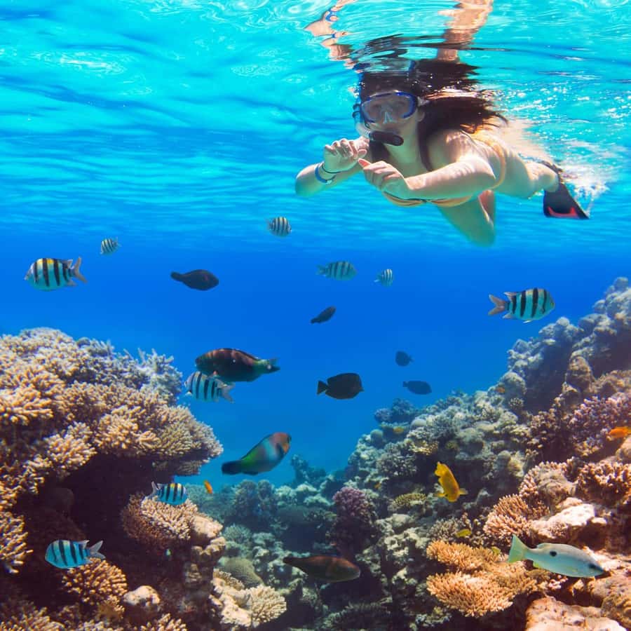 Hurghada: Luxury Giftun island w/snorkeling/lunch & Massage - Snorkeling on Two Red Sea Stops: What You’ll Actually See