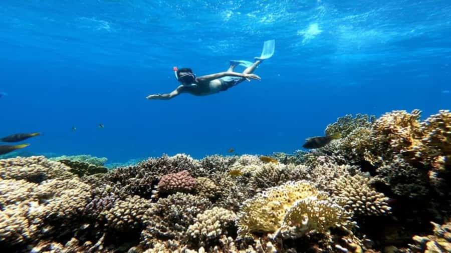 Hurghada: Luxury Giftun island w/snorkeling/lunch & Massage - Swimming, Banana Boat Fun, and a Bit of Free Time