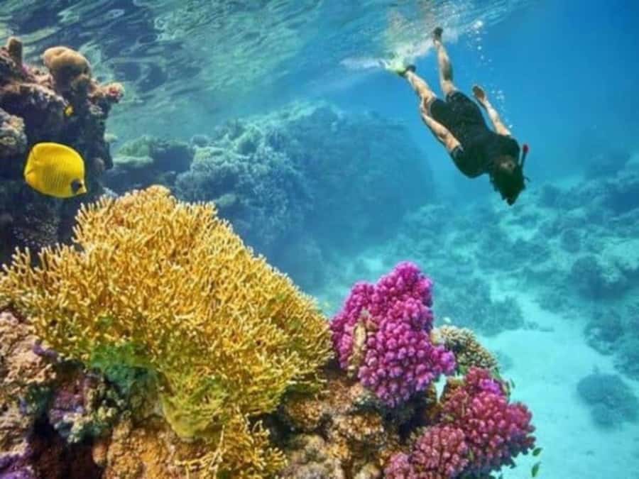 Hurghada: Luxury Private Yacht with Optional Lunch & Drinks - Who this trip fits best in Hurghada