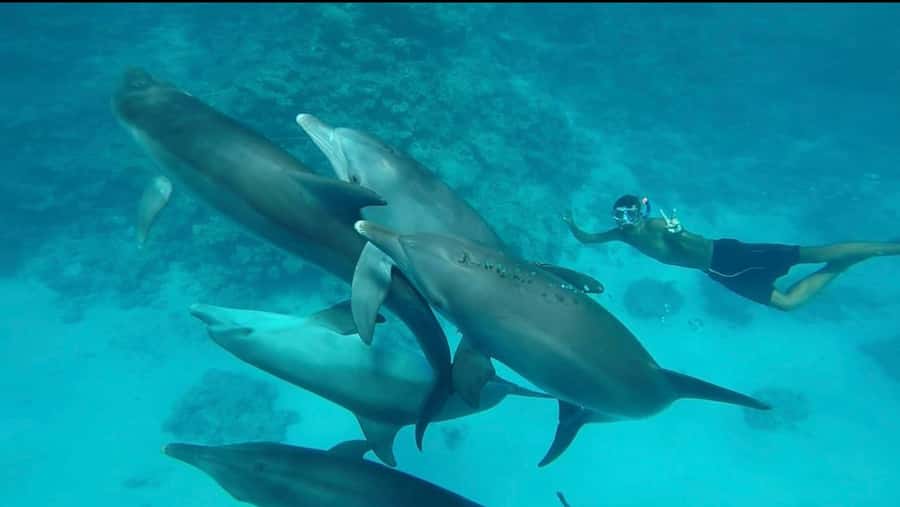 Hurghada: Luxury Yacht Trip with Personal Crew and Chef - Snorkeling on your schedule: stops, instructors, and gear