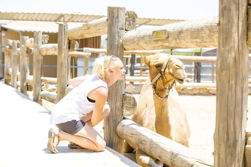 Hurghada: Mega Jeep safari, ATV & Bedouin vibe, and Dinner - Camel ride + Bedouin vibe: the best part for photos and culture