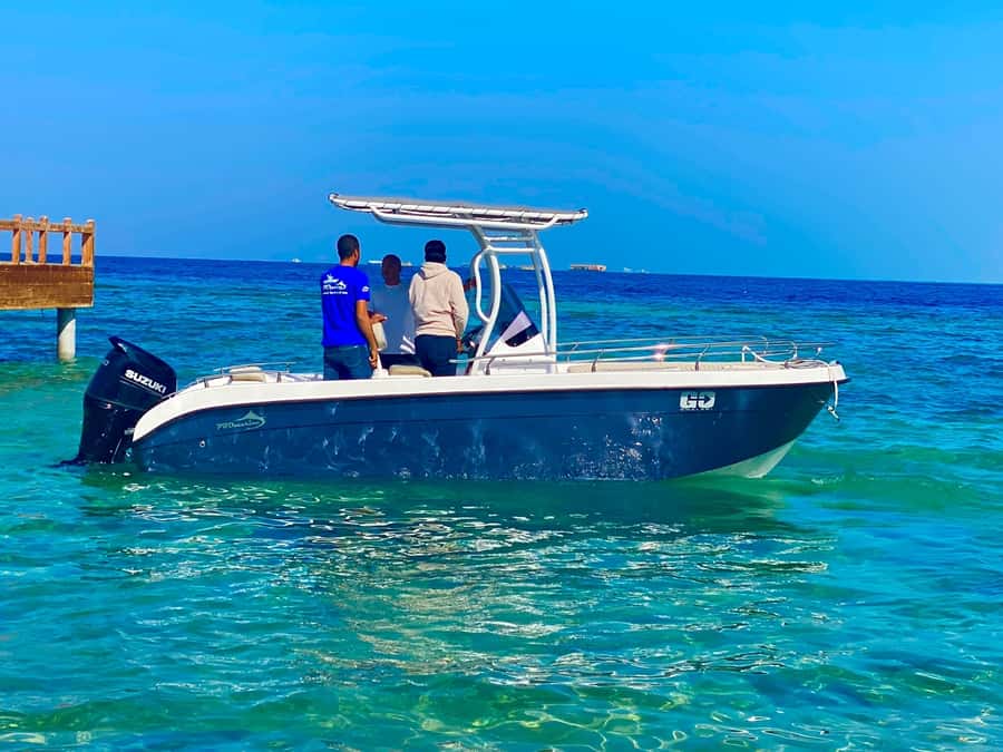 Hurghada: Orange Bay Dolphin Watching, Snorkeling & Lunch - Price and value check: is it a good deal for your time?