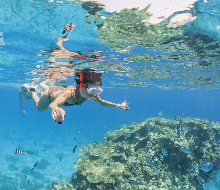 Hurghada: Orange Bay & Giftun Island, Snorkeling With Lunch - Who should book this Orange Bay & Giftun snorkeling day