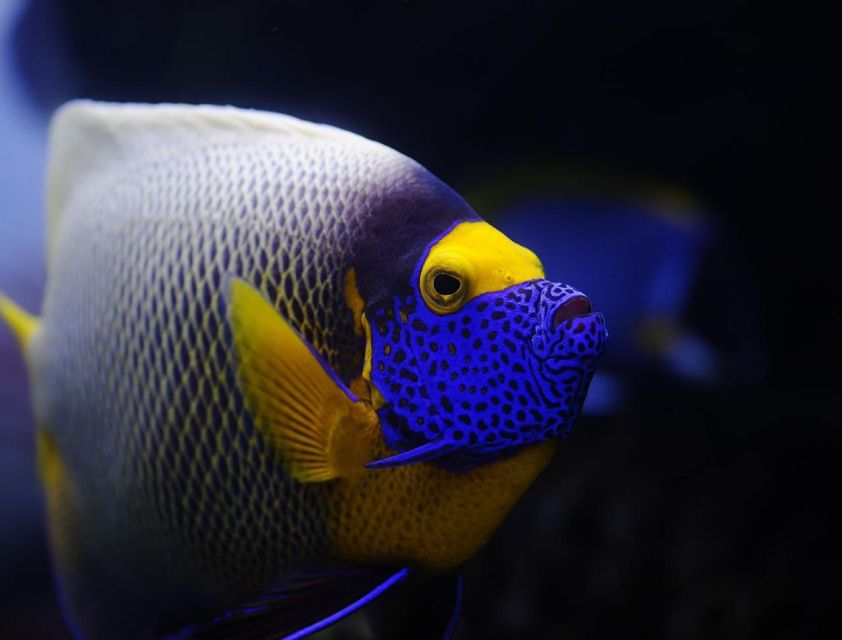 Hurghada: Orange Bay Snorkeling cruise and optional diving - Onboard comfort and hygiene: why this boat experience matters