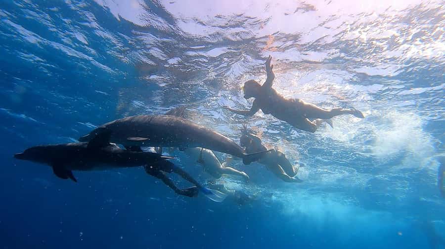 Hurghada: Orange Bay Snorkeling cruise and optional diving - Who this tour suits best in Hurghada
