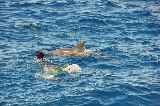 Hurghada: Orange island Snorkeling Trip with Lunch - Giftun Island Snorkeling for About an Hour: Best Use of Your Time