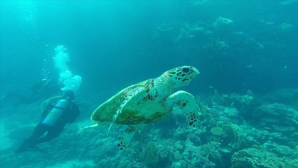 Hurghada: Premium Island Cruise with Lunch and snorkeling - Transfers and timing from Hurghada: plan for the ride, not just the water