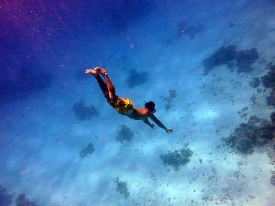 Hurghada: Premium Island Cruise with Lunch and snorkeling - The yacht standards: cleanliness, space, and comfort