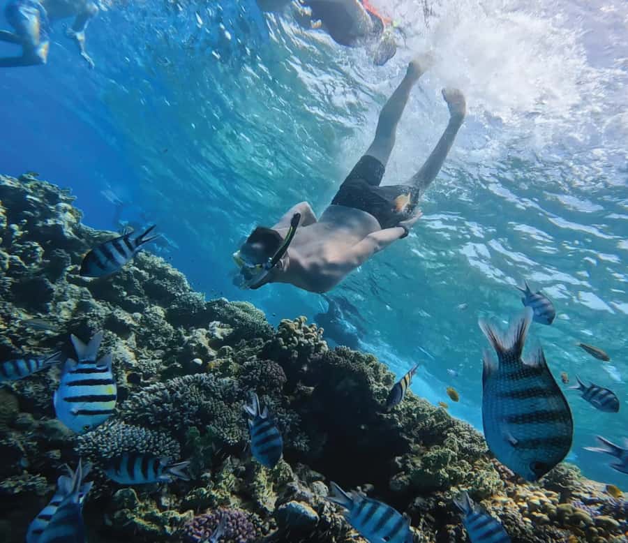 Hurghada: Premium Orange Island Cruise with Lunch & Transfer - How the day actually runs (and why that helps)