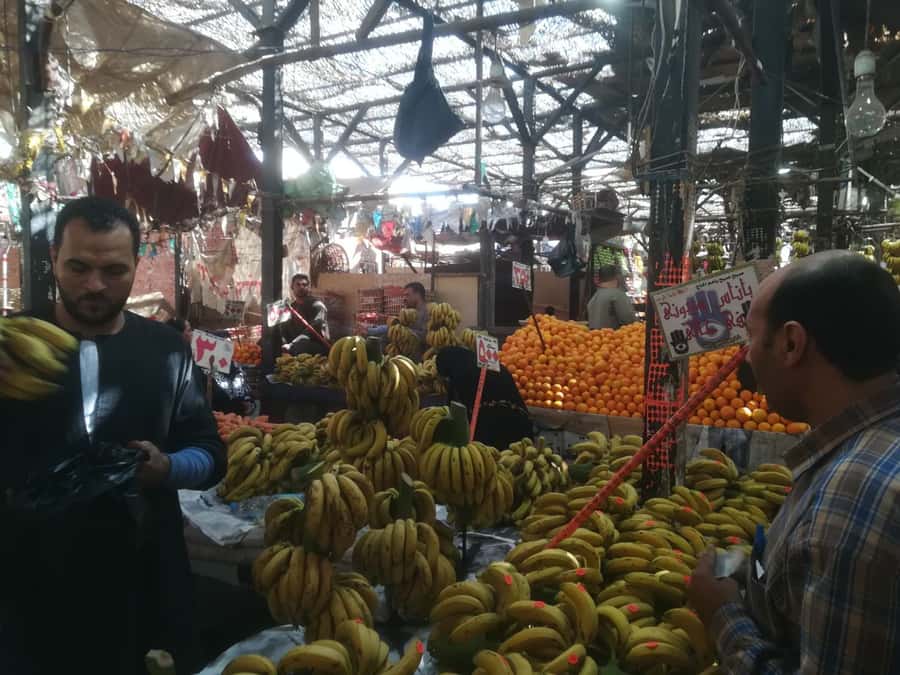 Hurghada: Private Guide City Tour & Shopping Stop - How This 3-Hour Hurghada Private Tour Works Day-To-Day