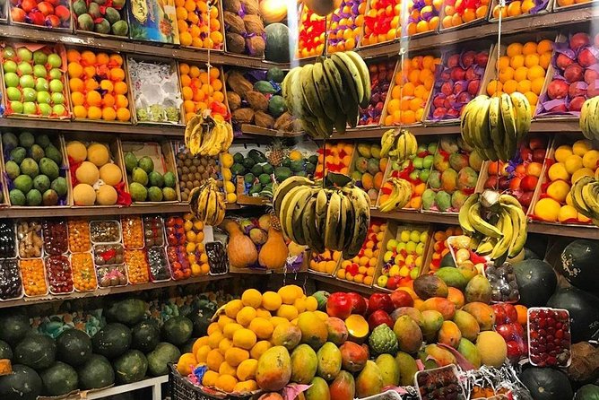Hurghada Private Guided City Tour with Shopping - Who this tour suits best