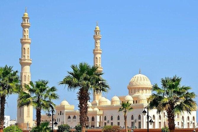 Hurghada Private Guided City Tour with Transport - Key Highlights You’ll Care About