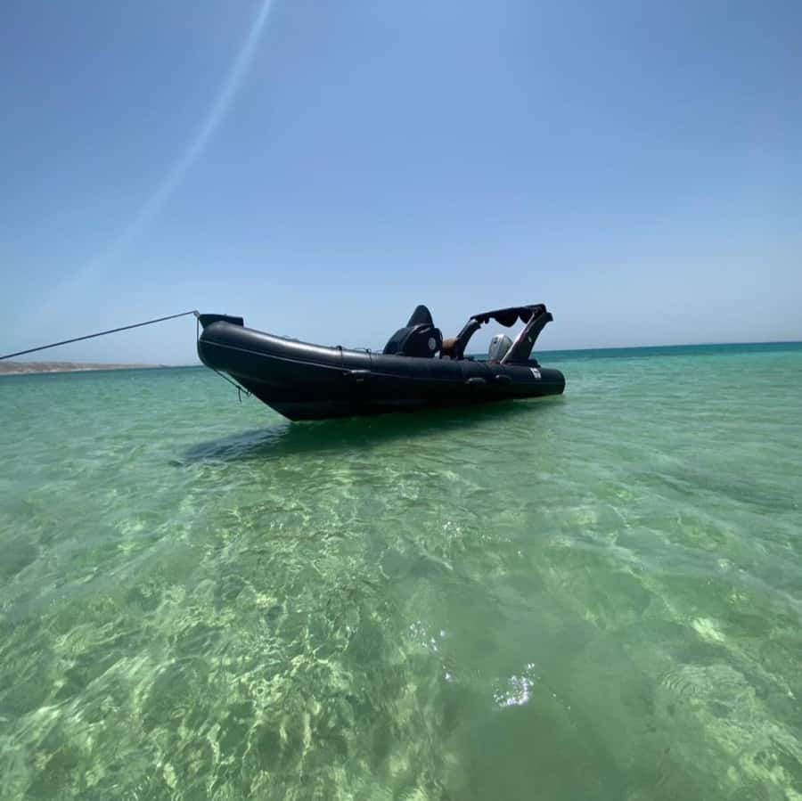 Hurghada: Private Speedboat to Dolphin House with Pickup - Key Points You’ll Care About
