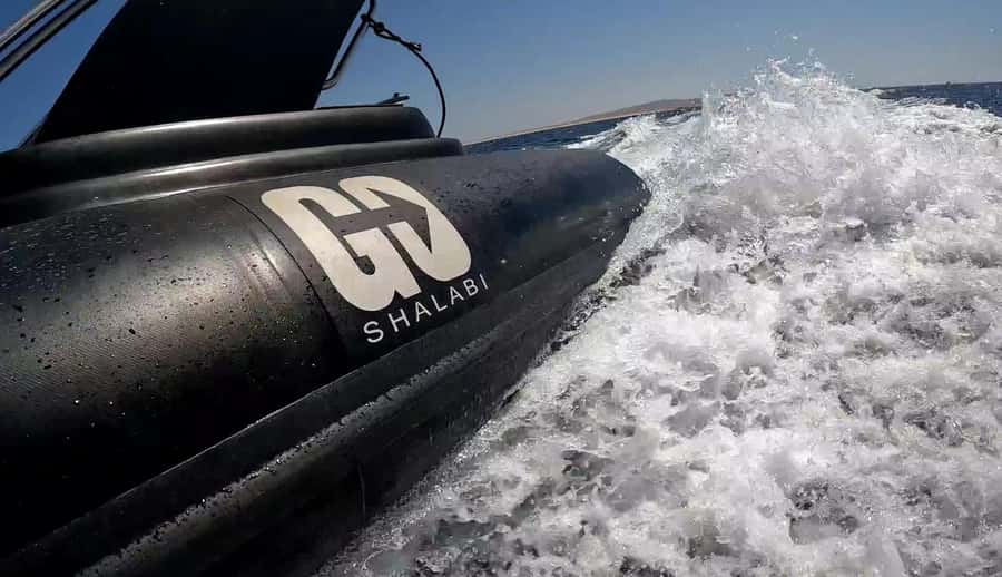 Hurghada: Private Speedboat to Dolphin House with Pickup - Dolphin House Small Reef: The Main Event for Dolphins and Color