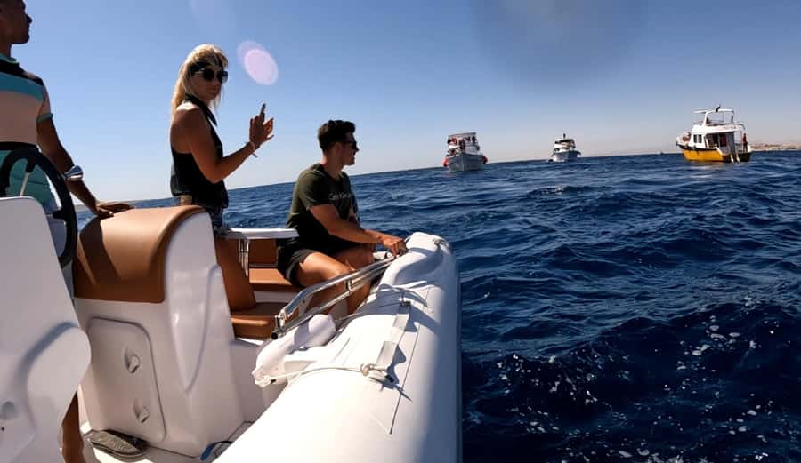 Hurghada: Private Speedboat to Dolphin House with Pickup - El Fanadir Reefs and Other Marine Life You Might Encounter