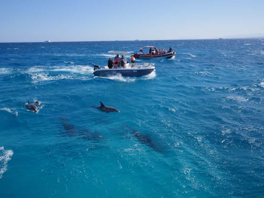 Hurghada: Private Speedboat to Orange Bay and White Island - Who this suits best (and who should skip it)