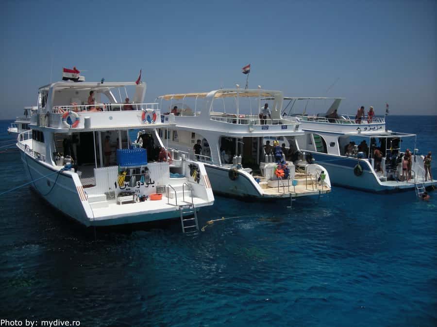 Hurghada, Professionals Diving in Open Water Tour with Lunch - When you should be cautious: outlier issues worth taking seriously