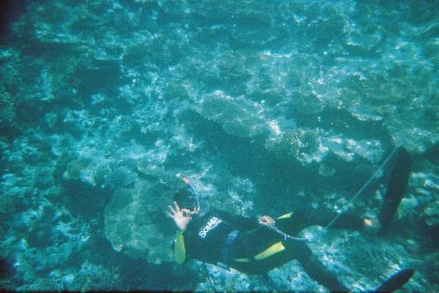 Hurghada, Professionals Diving in Open Water Tour with Lunch - Hurghada to the Red Sea: the 8-hour flow that keeps things simple