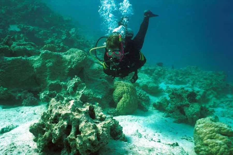 Hurghada, Professionals Diving in Open Water Tour with Lunch - First open-water scuba session: training support without suffocating the fun
