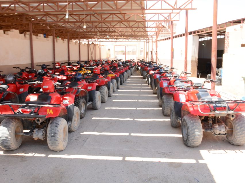 Hurghada Quad & ATV Ride with Camel, Desert Vibes & Sea View - Who This Is Best For (and Who Should Rethink It)