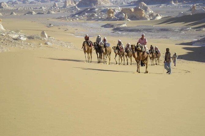 Hurghada, Red Sea sunset desert safari trip by quad bike - Quad Bike Desert Riding: Easy Controls, Real Terrain