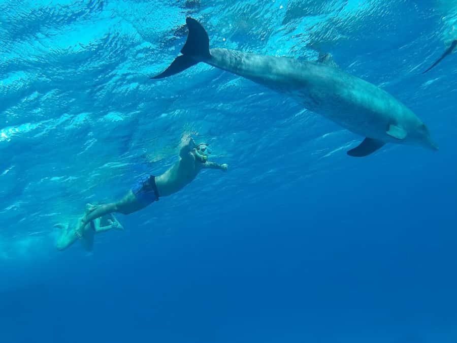 Hurghada: Royal Orange Bay with Massage, Snorkeling & Lunch - Snorkeling at Jazīrat Abū Rimāthī: a second chance at different water