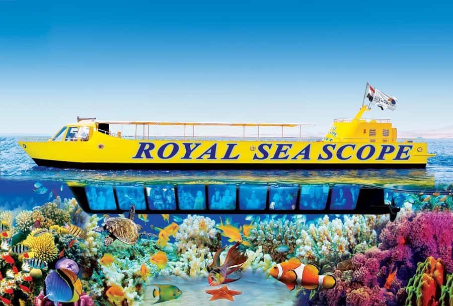 Hurghada: Royal Seascope Submarine cruise with Snorkel stop - The underwater windows: what you’ll realistically spot
